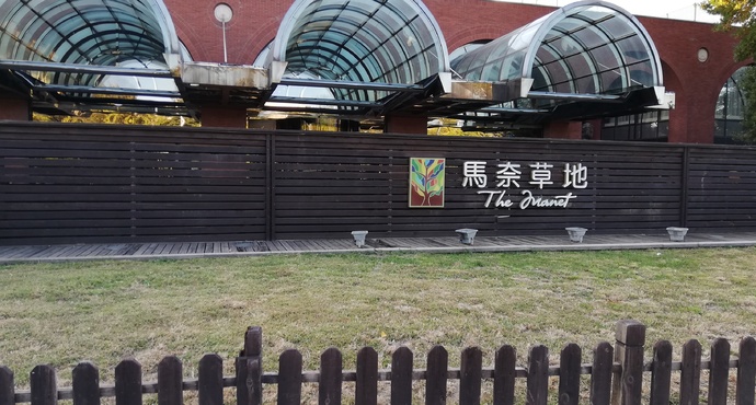 北京马奈草地.jpeg
